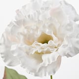 White artificial flower with delicate petals, detailed texture, and lifelike appearance, attached to a flexible stem.