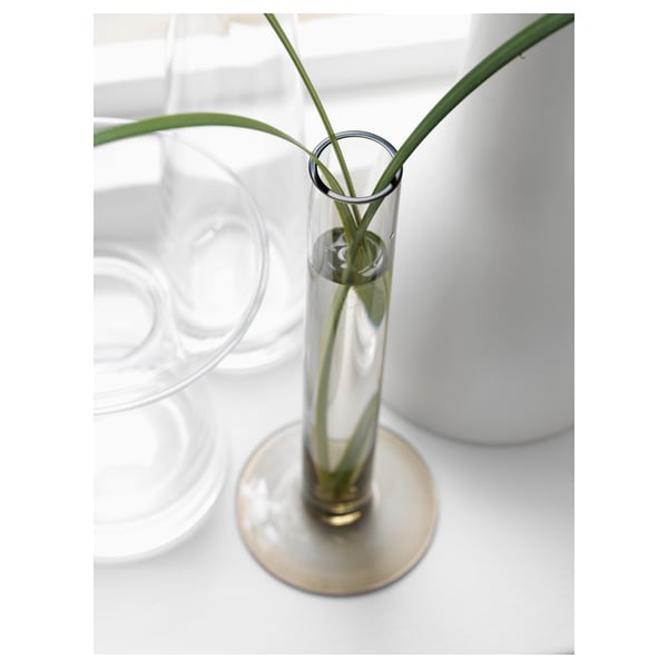 TAJT glass vase, clear and tall with narrow neck, stable round base, simple elegant design, holding long-stemmed flowers.
