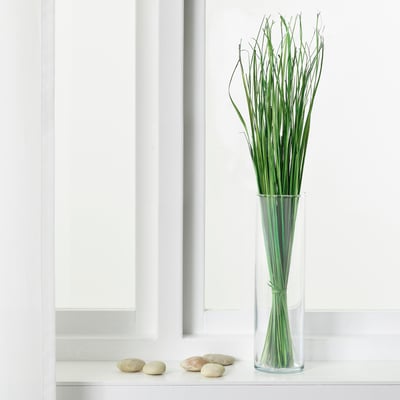 TORKA dried green plant in clear glass vase beside smooth rocks.