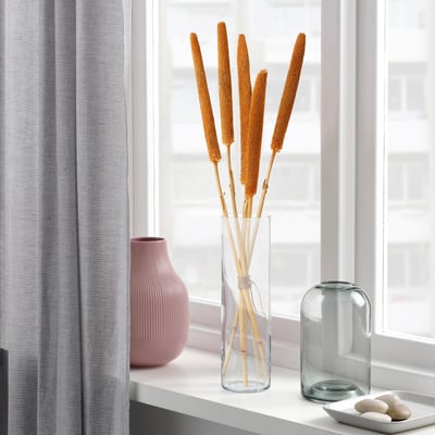 TORKA orange dried stems in tall clear vase, near window. Light, tall display with modern, minimalist decor.