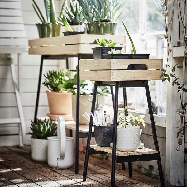 White plant stand with black legs holds various potted plants, succulents, and planters indoors.