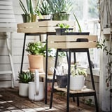 White plant stand with black legs holds various potted plants, succulents, and planters indoors.