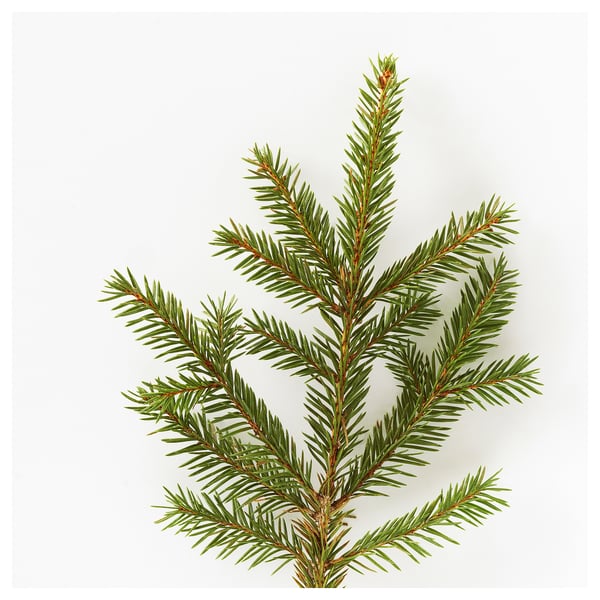 VINTERFINT fir-scented green candle in aluminum holder.