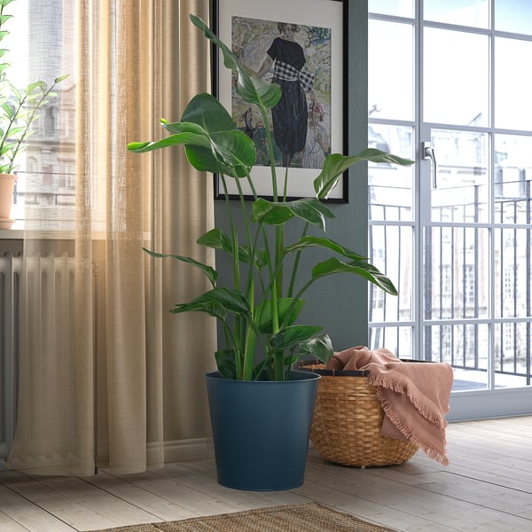 De blauwe potten van ÅKERBÄR bevatten weelderige groene planten, die ruimte-efficiëntie combineren met een modern design, naast een mand en een raam.