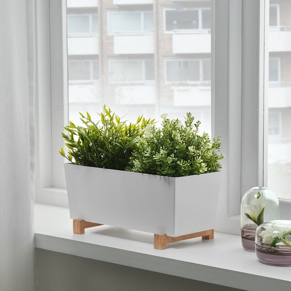 Witte plantenbak op houten tribune door venster met groene installatie. Verbetert de inrichting van de keuken en tilt planten op voor een beter zicht.