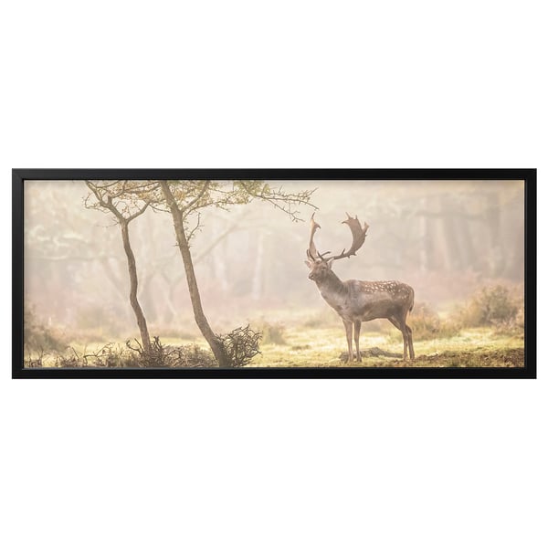BJÖRKSTA Foto met lijst - Hert op open plek/zwart - IKEA
