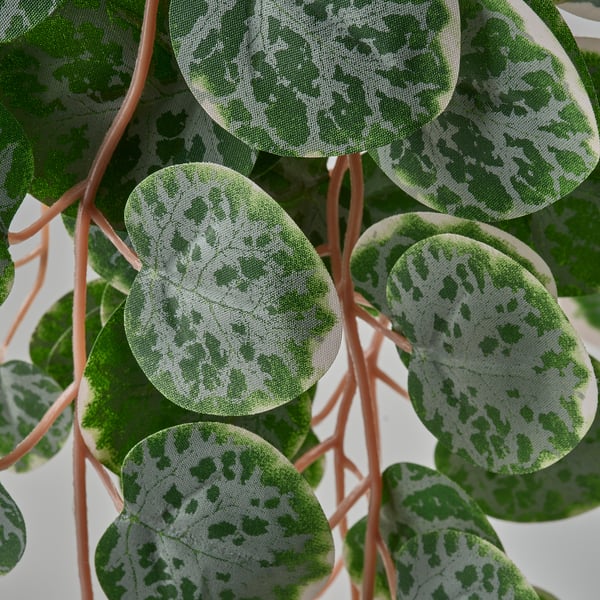 FEJKA Kunstplant, binnen/buiten hangend/Chinees lantaarnplantje, 9 cm