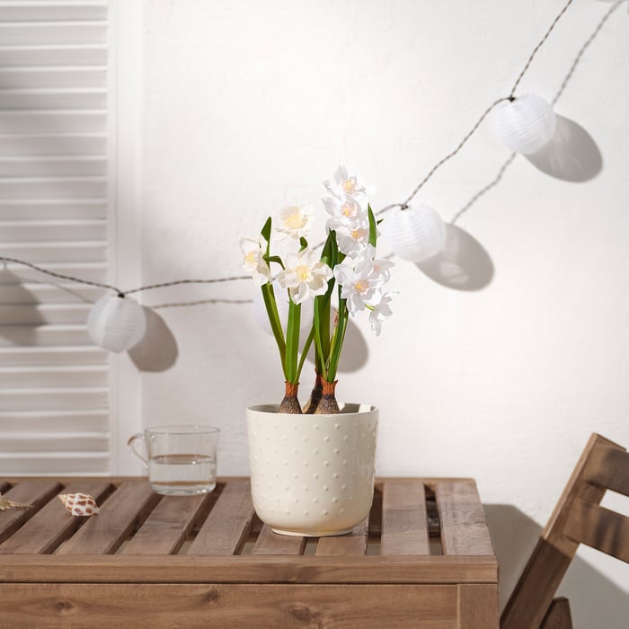 FEJKA kunstplant, binnen/buiten/narcis wit, 12 cm IKEA