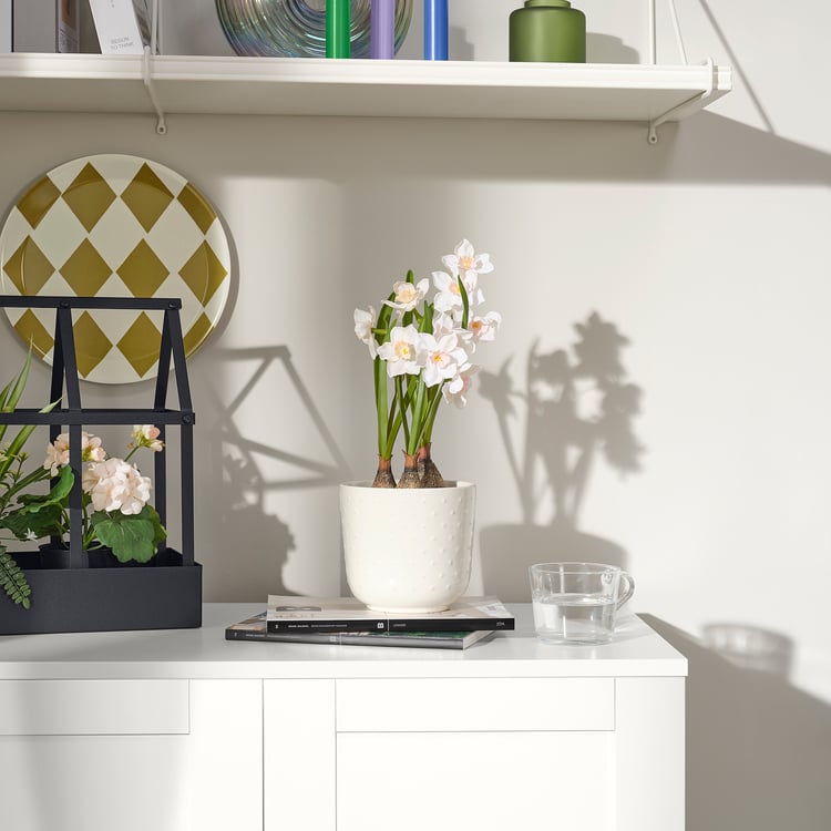 FEJKA kunstplant, binnen/buiten/narcis wit, 12 cm IKEA