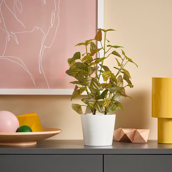 Kleine FEJKA potplant in wit, groen blad met roze strepen op het schap.