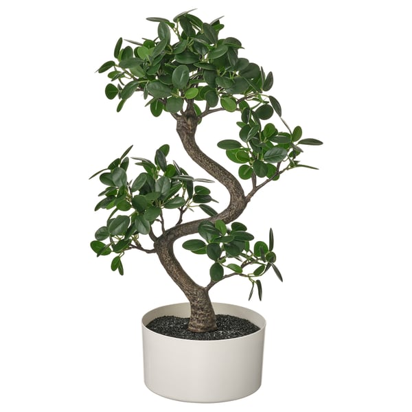 Europa Vaardig Winst FEJKA Kunstplant met pot, binnen/buiten bonsai, 16 cm - IKEA