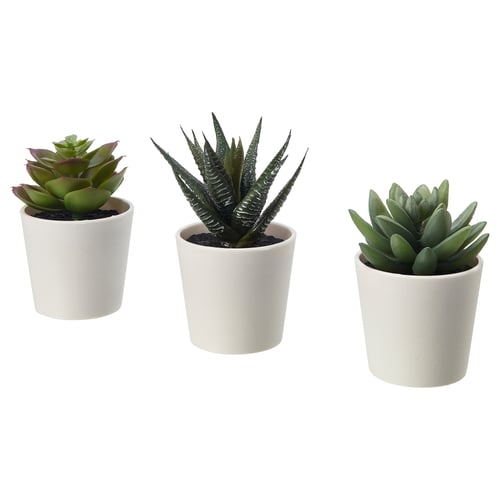 Drie FEJKA kunstvetplanten in pot in witte keramieken potten, op een rij gerangschikt.