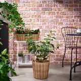 Geweven FLODBJÖRK plantenbak met groene plant, zwarte stoel, witte standaard, bakstenen muur.