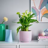 Een moderne, lichtpaarse GRADVIS plantenbak met verticale groeven houdt een groene plant vast, zittend op een witte plank naast kleurrijke vazen en boeken.