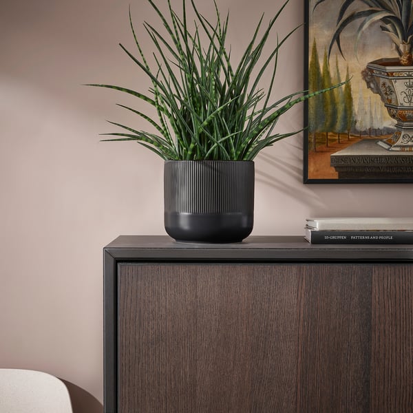 Kleine, zwarte, geribbelde GRADVIS plantenbak met groene plant op donkere houten kast tegen roze muur.