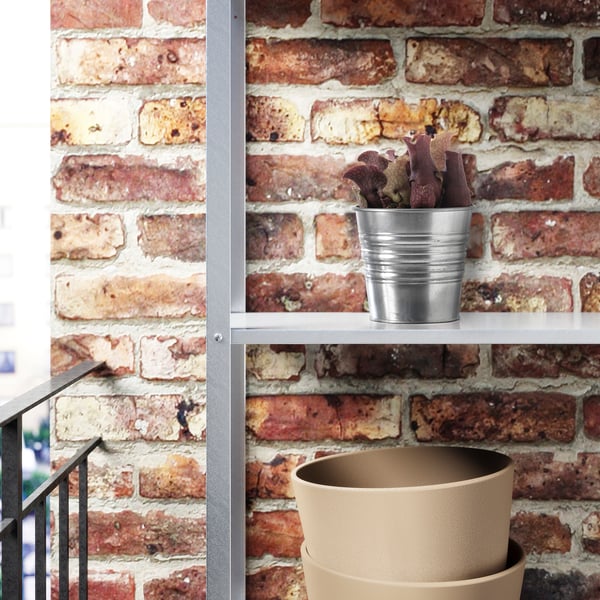 Gronskan Potplant Vleesetend Diverse Soorten Ikea