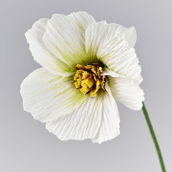 GULDSPETT Kunstbloem, papier/cosmos diverse kleuren, 35 cm