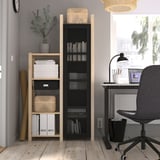 Thuiskantoor met IVAR planken, boeken, cactus, bureau, lamp en raam.