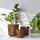Drie bamboe plantenmanden in bruin, verschillende maten, met groene planten, tegen witte muur.