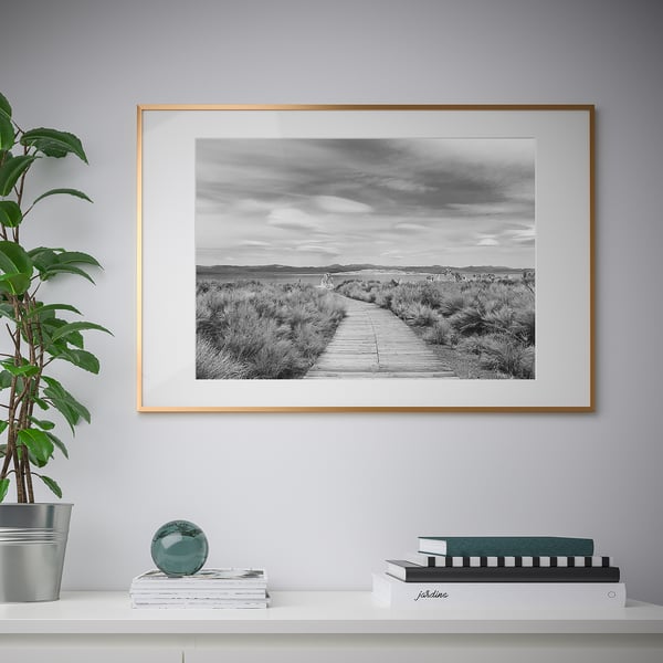 Zwart-witte natuurprint op muur, boeken, groen ornament, plant.