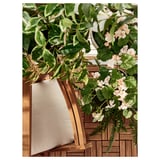 Houten RUNNEN balkon vlonder met hangende groene planten.