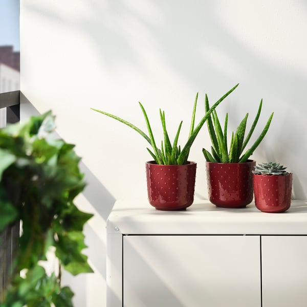 Drie rode sesamvormige plantenpotten op een witte plank, met groene planten.