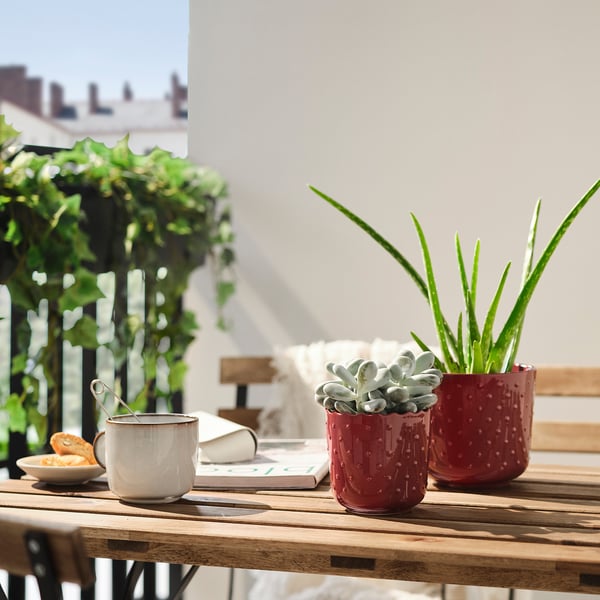 Rode potten met planten, crackers en koffie op houten tafel.