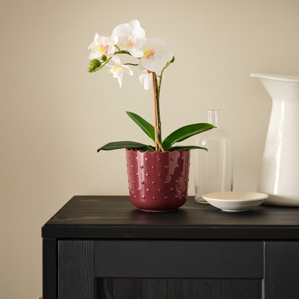 Een kleine rode aardewerken plantenbak met getextureerde stippen en een witte orchidee op een zwarte tafel. Naast lege vazen en een schaaltje.