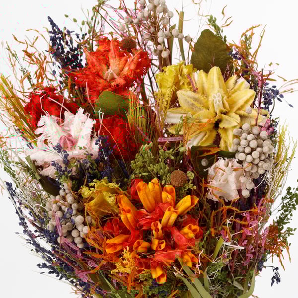 Levendige droogbloemen in warme kleuren; rood, oranje en geel. Weelderig boeket van hoge kwaliteit met verschillende texturen.