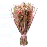 Een boeket met de naam TORKA met lichtroze gedroogde bloemen en groene bladeren, gewikkeld in jute touw, rechtop.