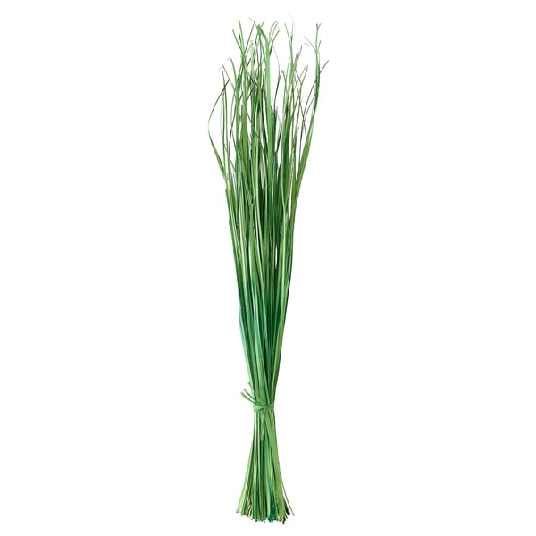 TORKA, groene gedroogde gras bundel, naturel, ronde vorm, handgemaakt.