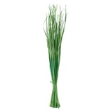 TORKA, groene gedroogde gras bundel, naturel, ronde vorm, handgemaakt.