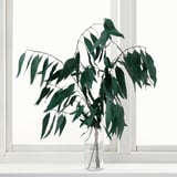 TORKA: groene gedroogde takjes in helder glazen vaas op vensterbank, minimalistisch design.