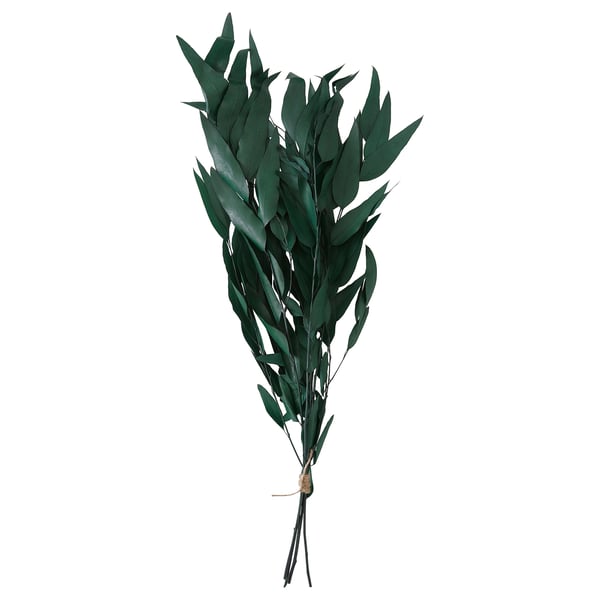 TORKA: groene gedroogde plantenbundel, touwbasis, naturel, vers.