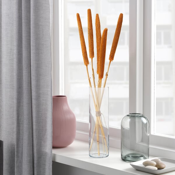TORKA oranje gedroogde stengels in hoge heldere vaas, bij raam. Licht, hoog scherm met een moderne, minimalistische inrichting.