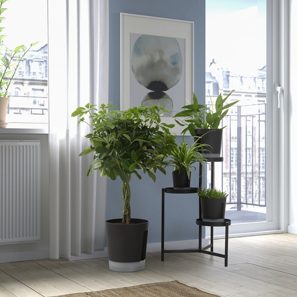 VÅRDTRÄD Sierpot met waterreservoir, binnen/buiten transparant/antraciet, 19 cm