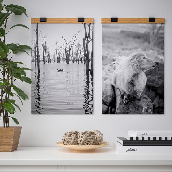 Zwart-witte posters hangen aan bamboe hanger boven plant en decor.