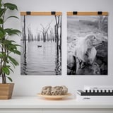 Zwart-witte posters hangen aan bamboe hanger boven plant en decor.