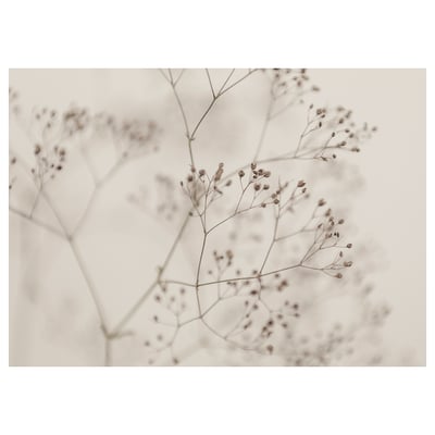 BJÖRKSTA Picture, flowers-close up, 140x100 cm