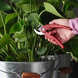 BRYTBÖNA Secateurs, bright red