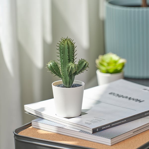 FEJKA Artificial potted plant, in/outdoor Cactus, 6 cm