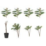 FEJKA Artificial potted plant, in/outdoor Rubber plant, 23 cm