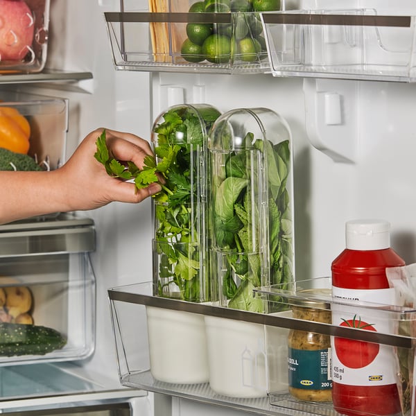 KLIPPKAKTUS Herb storage for fridge, transparent, 10x9x28 cm
