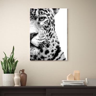 PJÄTTERYD Picture, in the spotlight, 50x70 cm