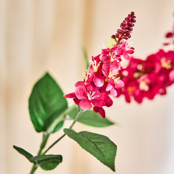 SMYCKA Artificial flower, in/outdoor mullein/dark pink, 79 cm