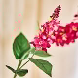 SMYCKA Artificial flower, in/outdoor mullein/dark pink, 79 cm