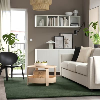 Modern living room with grey rug, white sofa, black chair, coffee table, bookshelf, and plants.