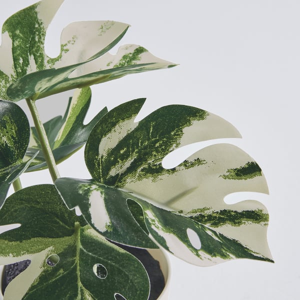 FEJKA Kunstig pottepl m blomsterpotte, inne/ute monstera, 6 cm