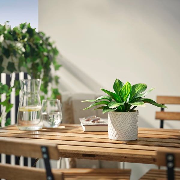 FEJKA Kunstig potteplante, inne/ute/Funkia Hosta, 9 cm