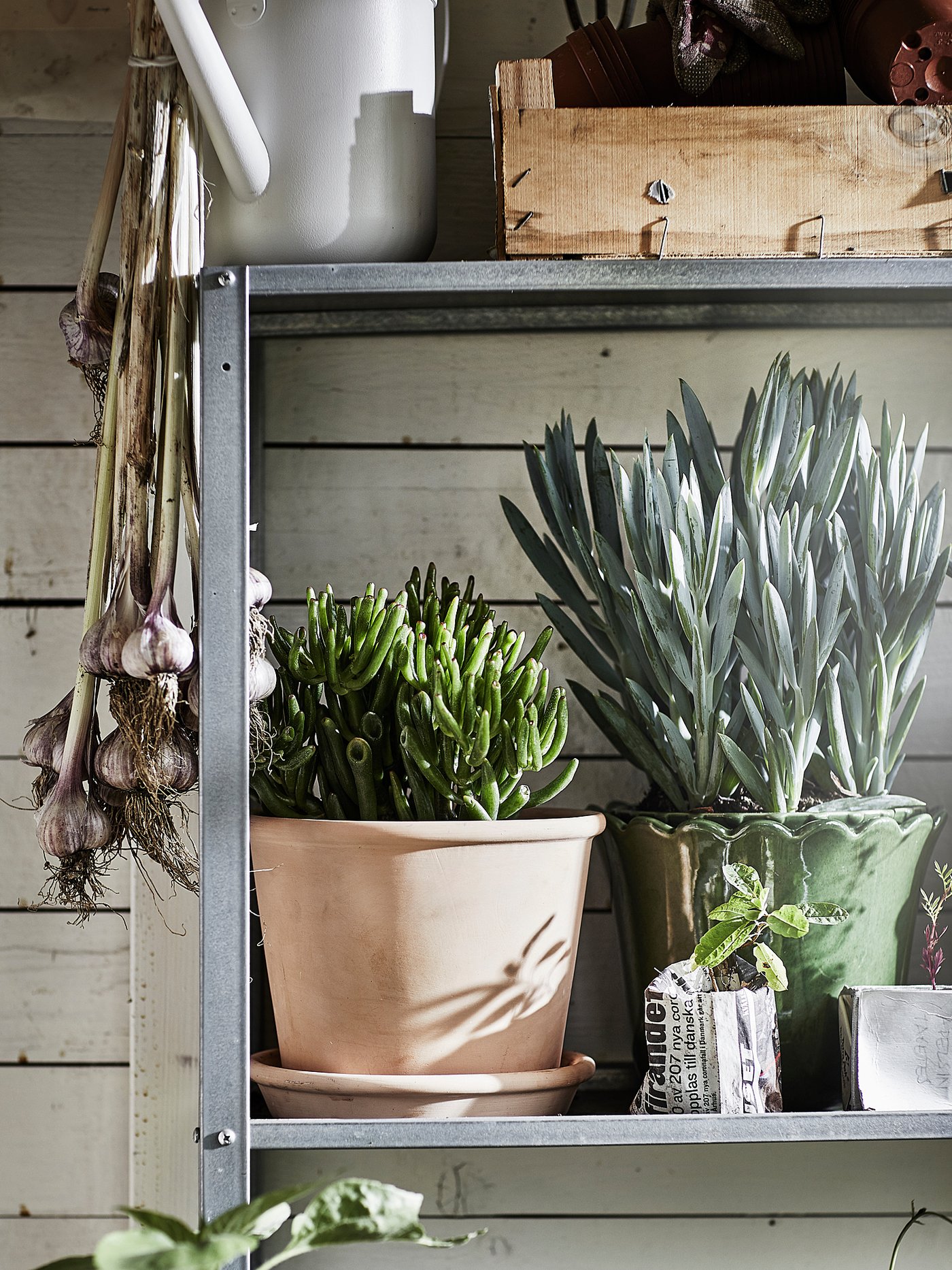 MUSKOTBLOMMA Blomsterpotte med skål, inne/ute terrakotta ...